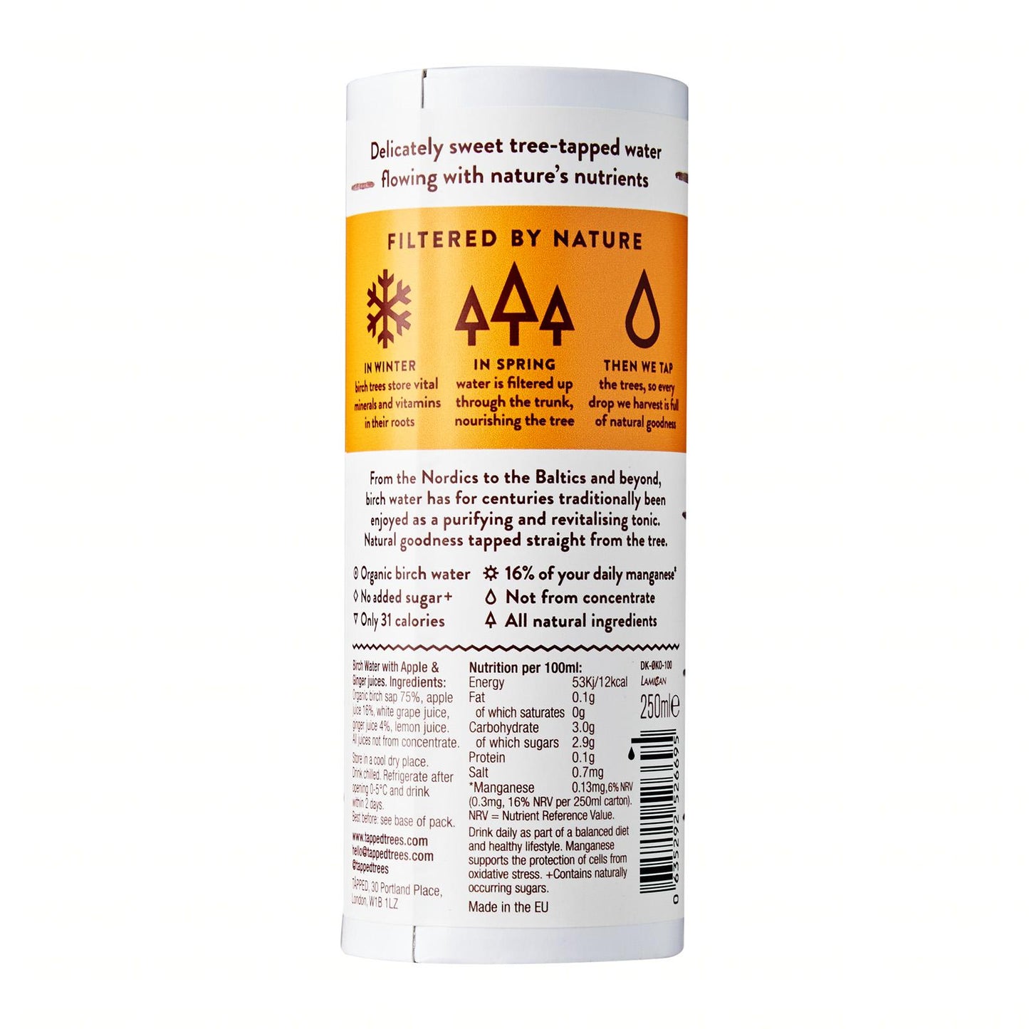 Tapped Pure Birch Water with Apple and Root Ginger