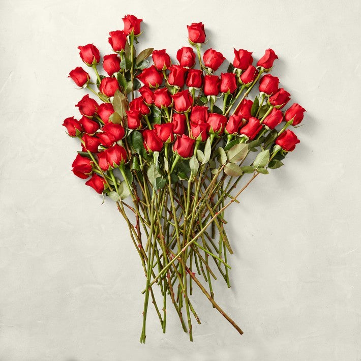 50 Long Stem Red Roses Arrangement