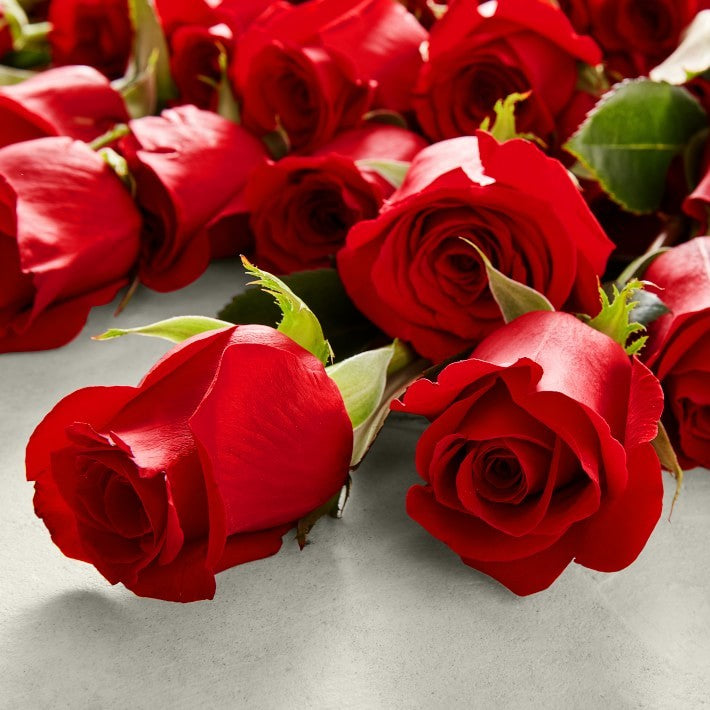 50 Long Stem Red Roses Arrangement