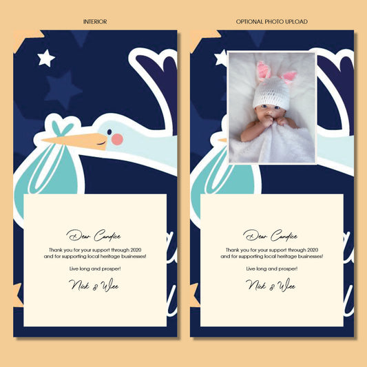 Baby Shower - Flying Stork