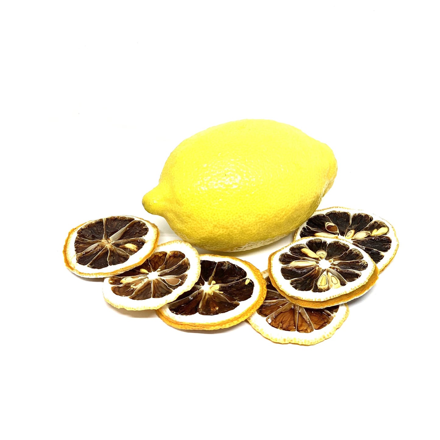 Atlas Dehydrated Lemon Slice
