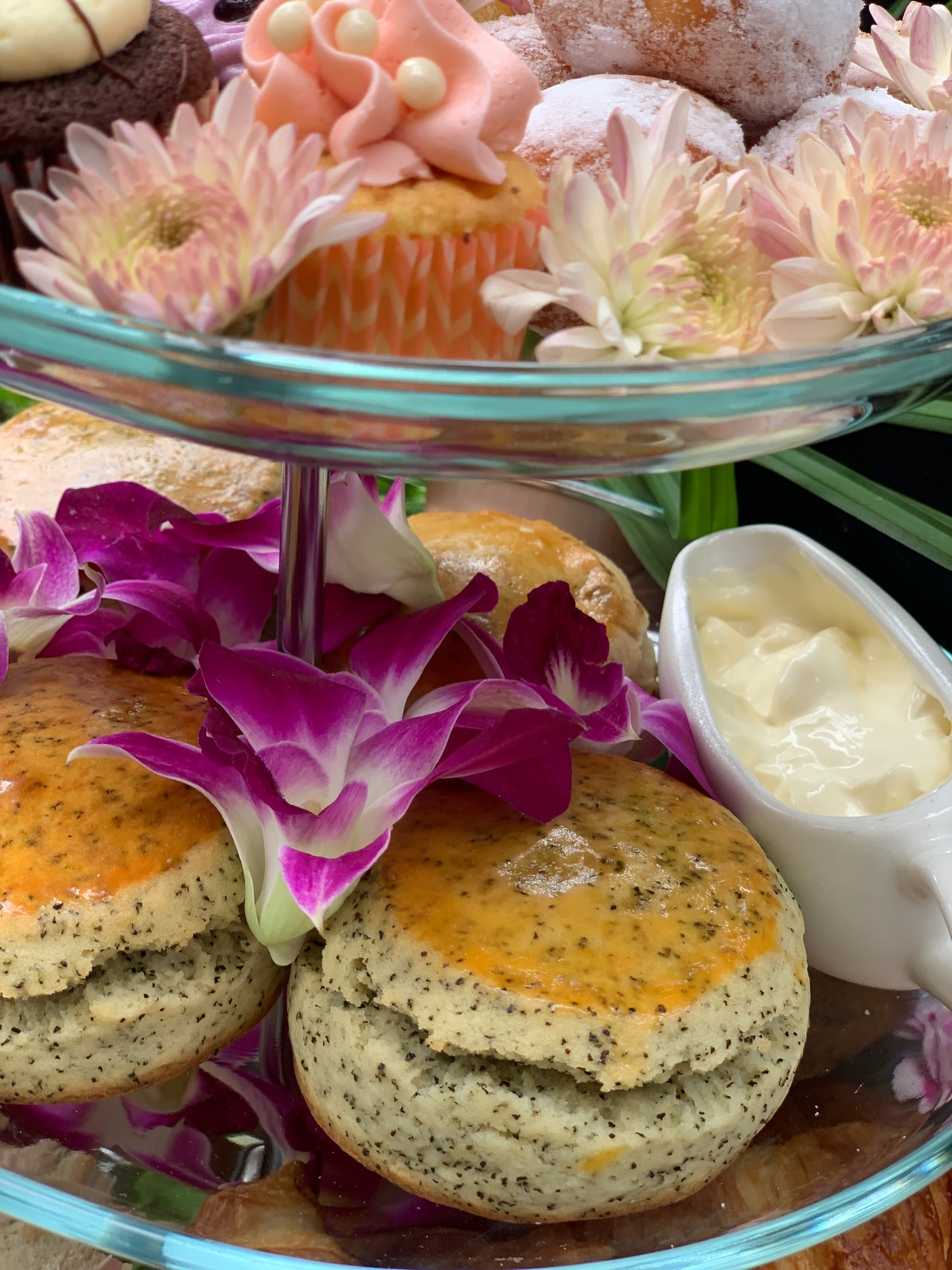 Afternoon Tea Scones