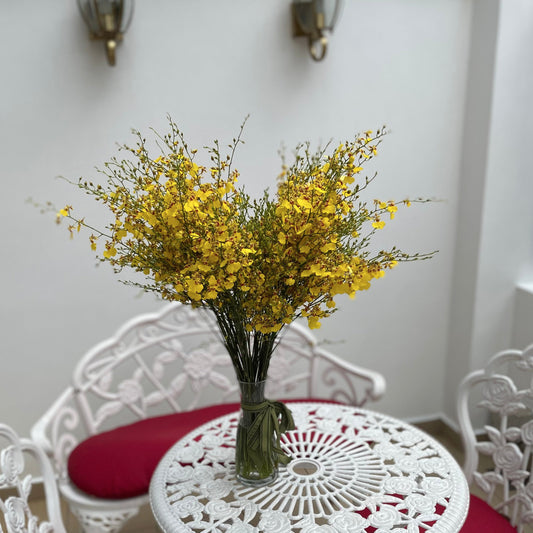 Dancing Lady Orchid Vase