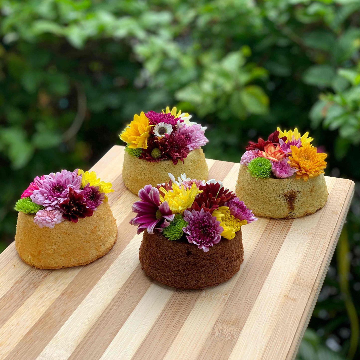 Chiffon Cakes