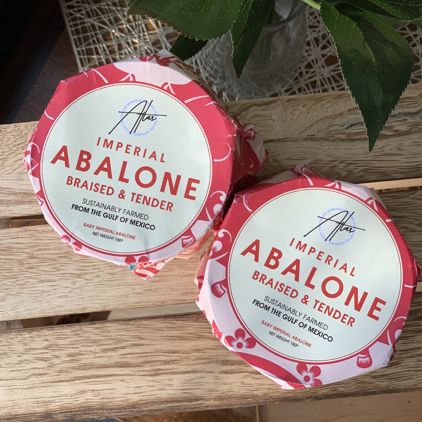 Imperial Abalone