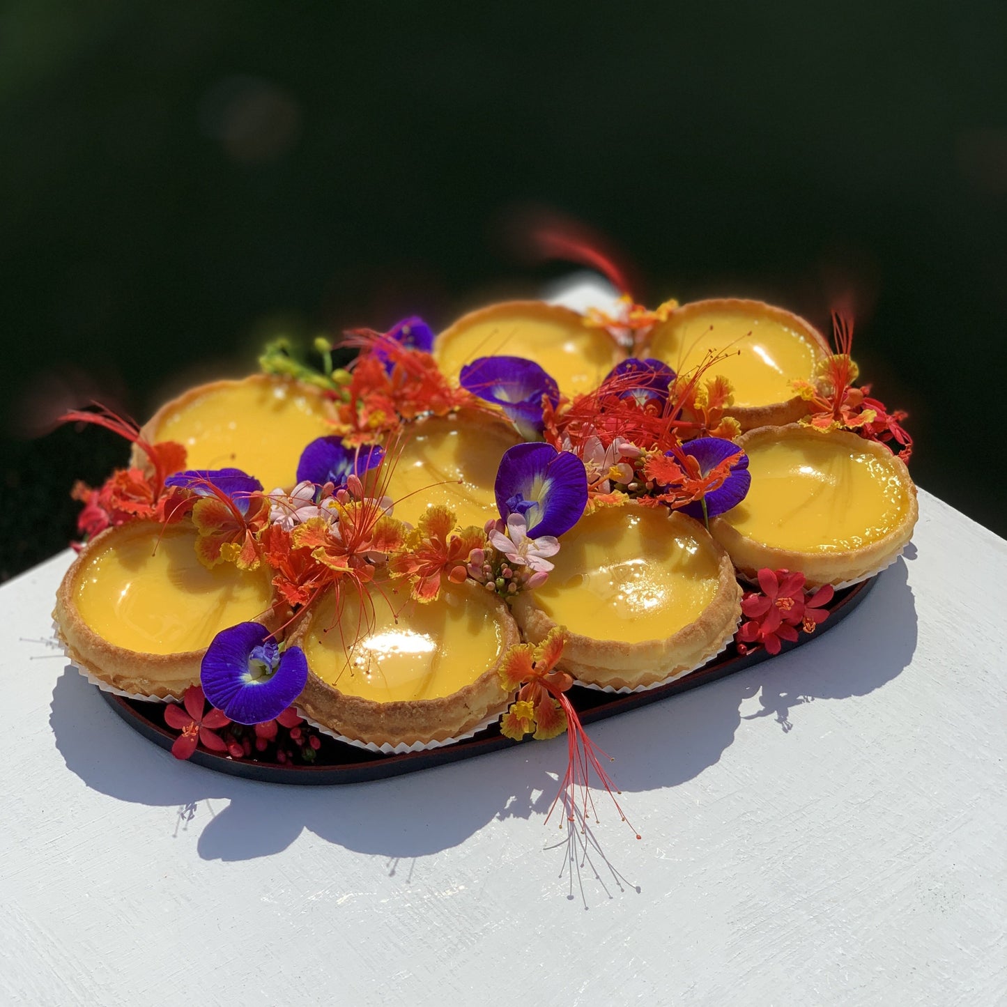 Hong Kong Egg Tarts Long Lacquered Platter