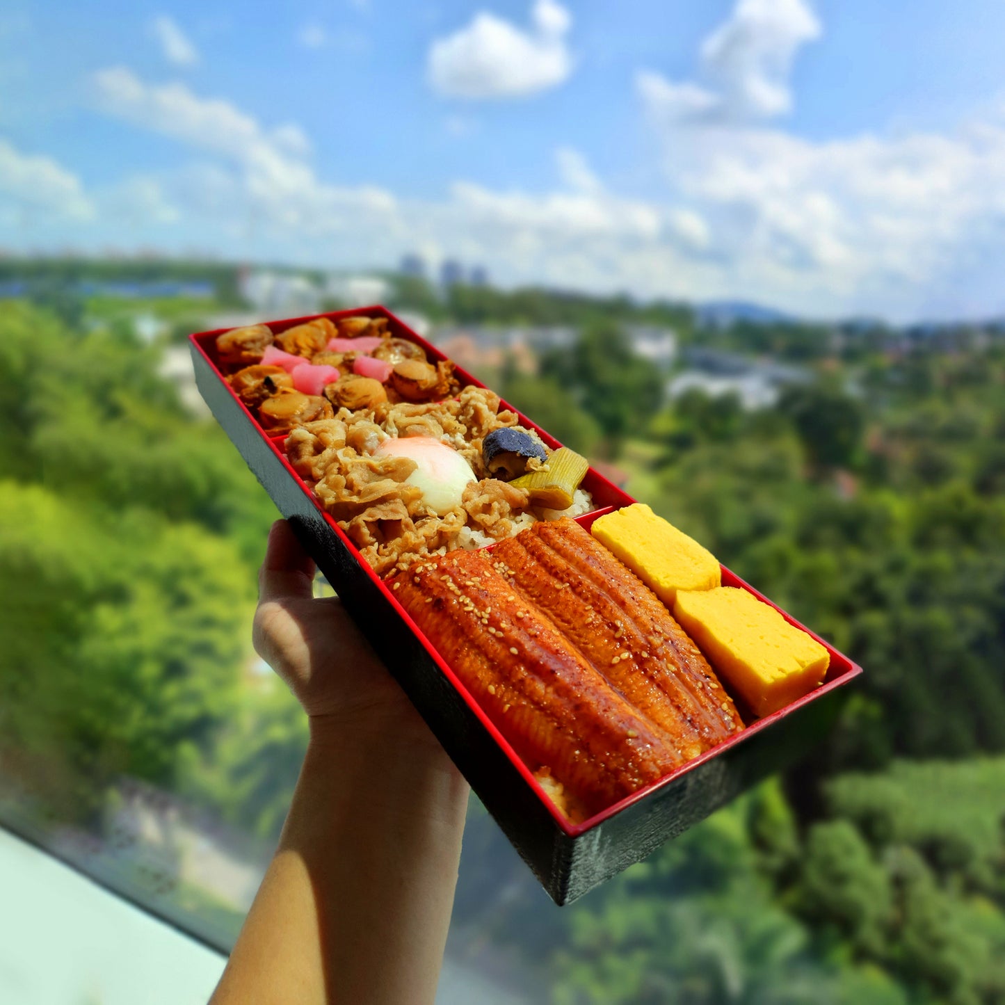 Natsu Unagi, Hotate & Gyu Bento (2-3 pax)