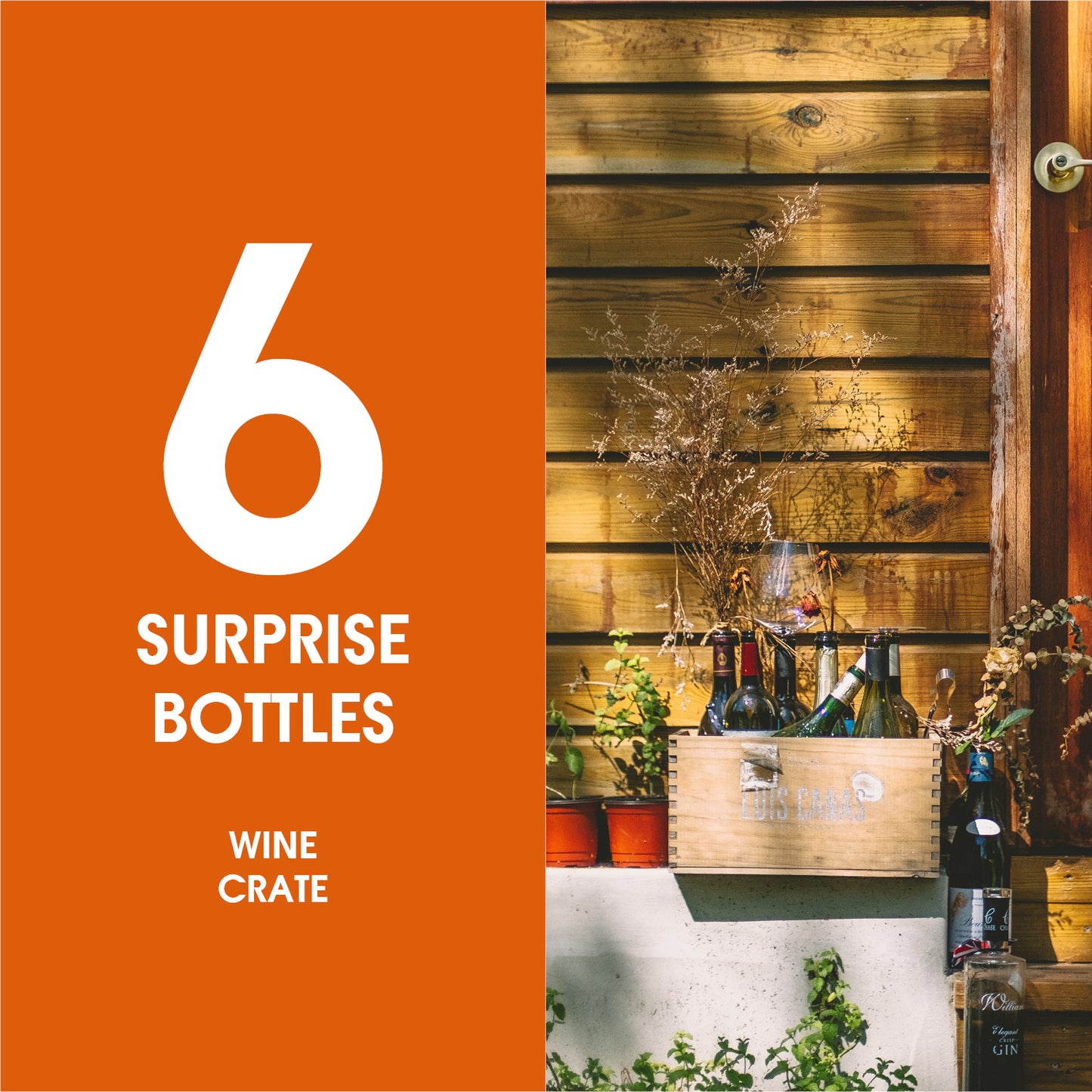 6-Bottle Holiday Box (one time only)