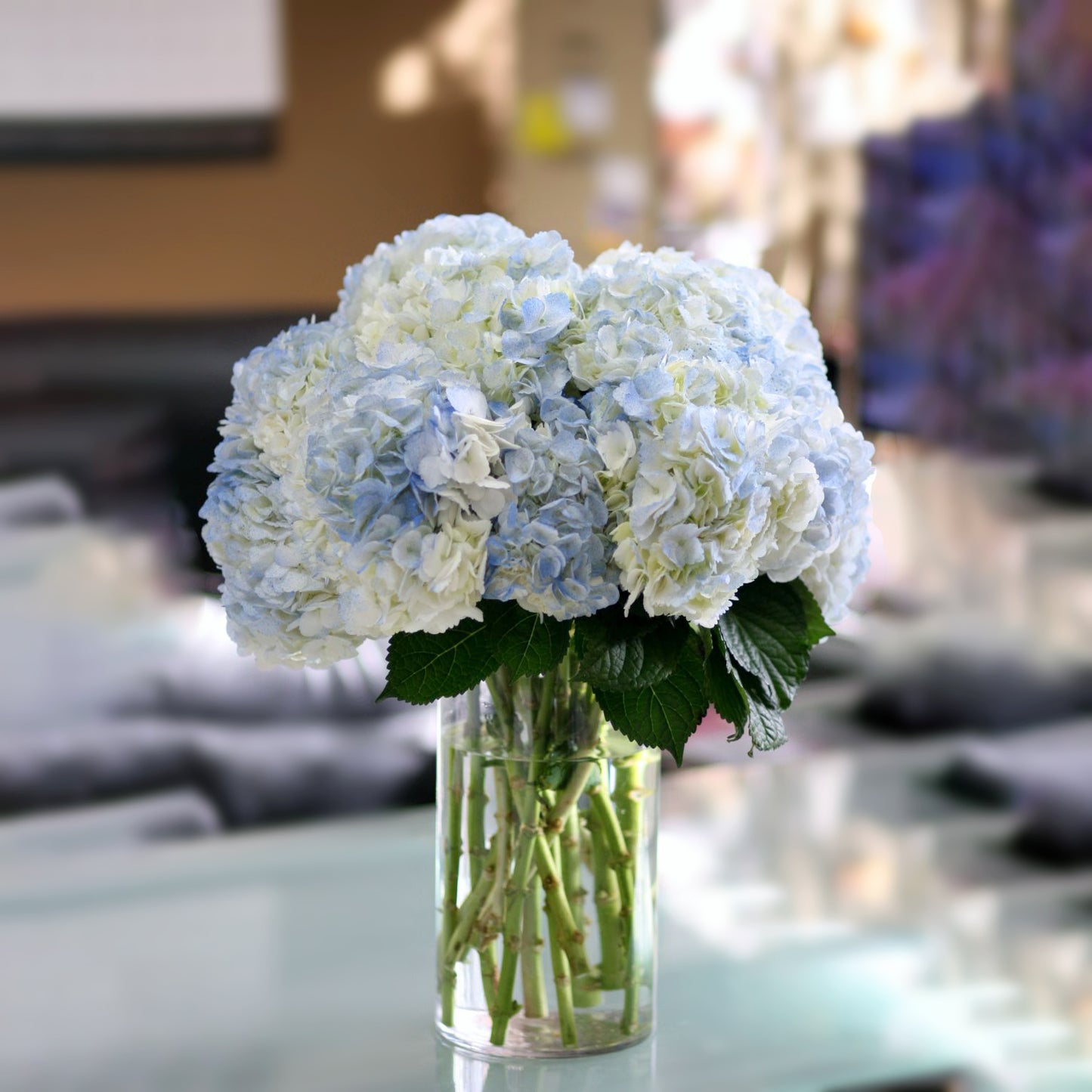 Fresh Blue Hydrangea 18 Stems