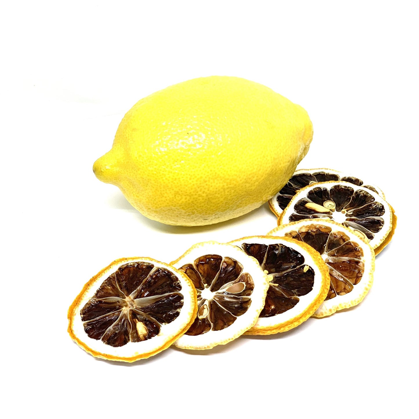 Atlas Dehydrated Lemon Slice
