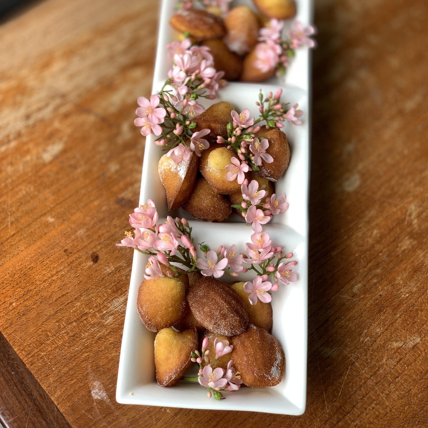 Madeleine Platter