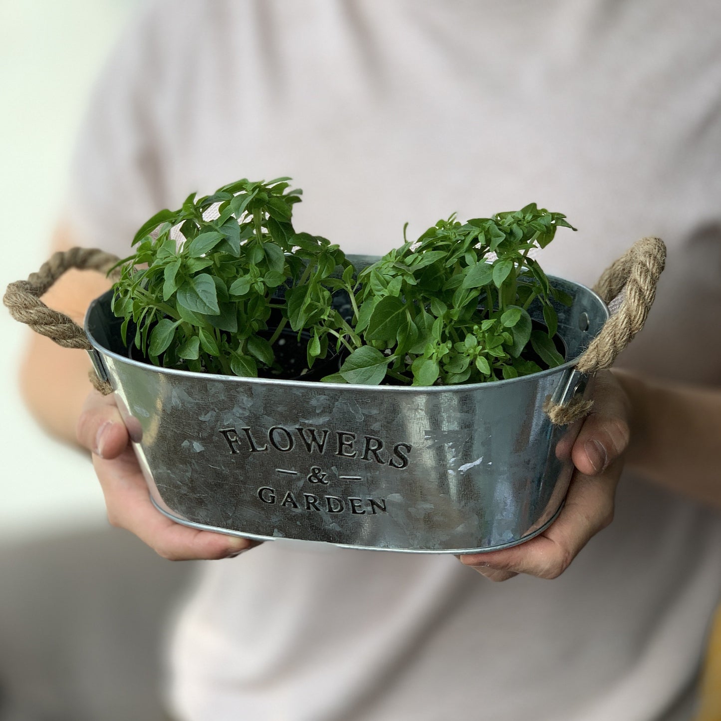 Mini Basil Garden Bucket