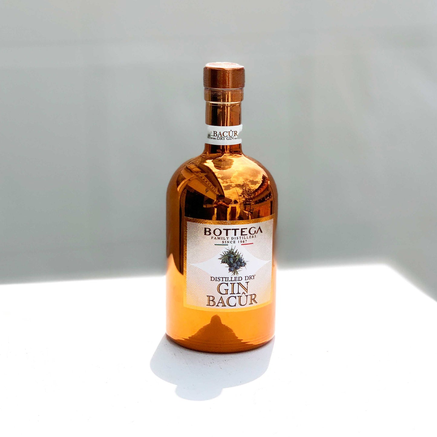 Bottega Bacur Dry Gin Atlas – Handcrafted