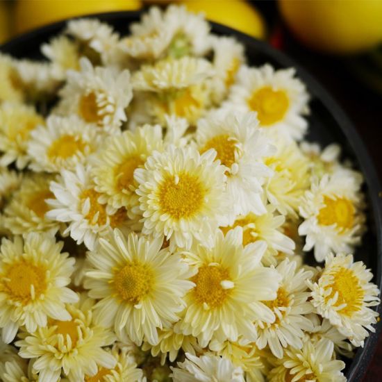 American Ginseng Chrysanthemum Tea